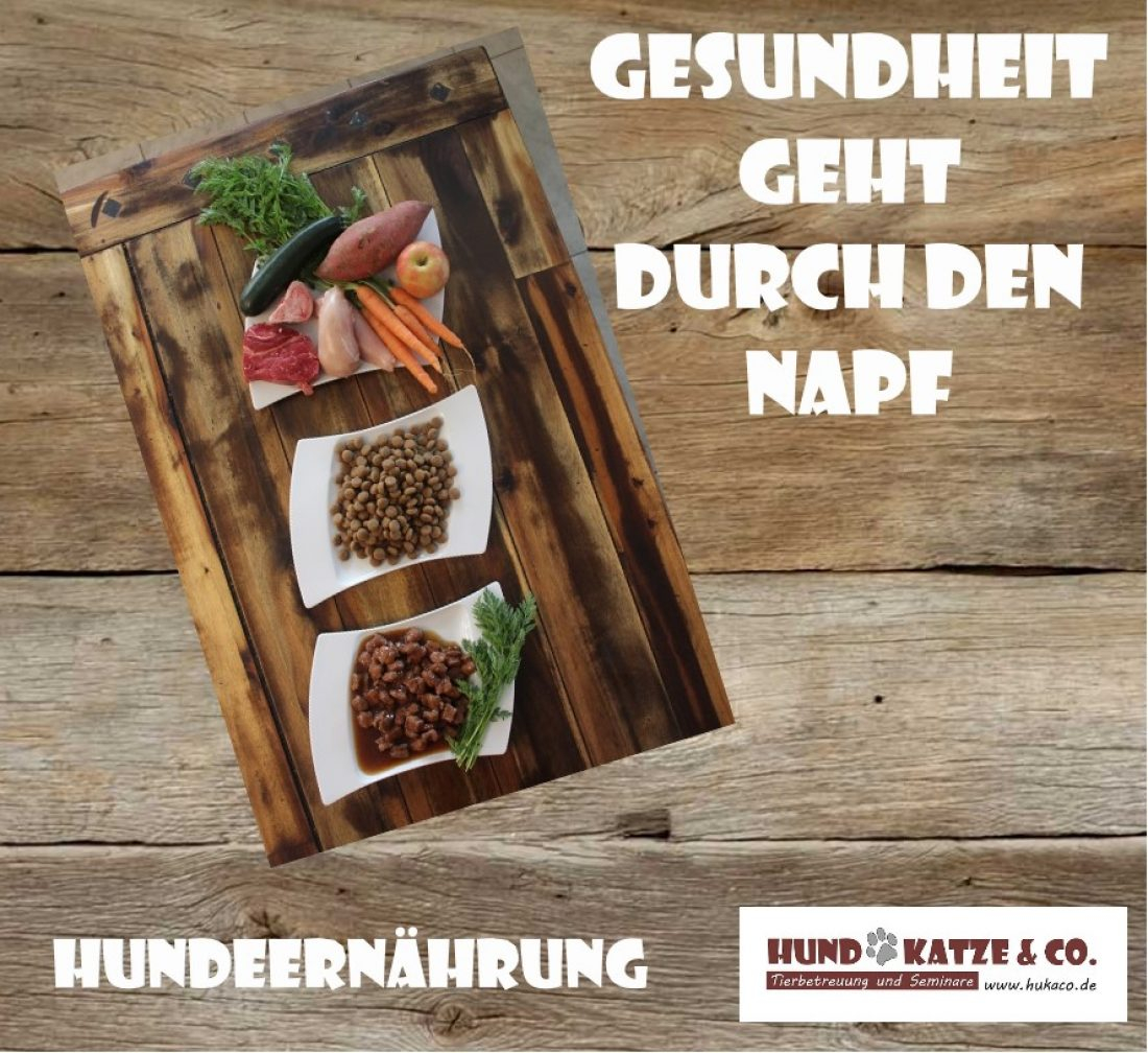 Hundeernährung - Gesundheit geht durch den Napf